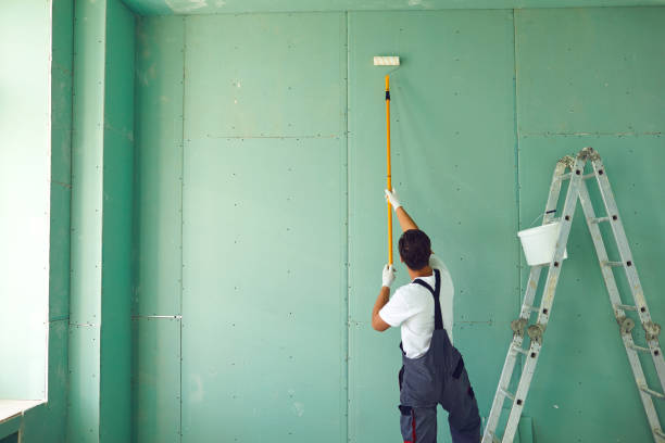 Best Residential Mold Inspection & Testing  in Magnolia, NC