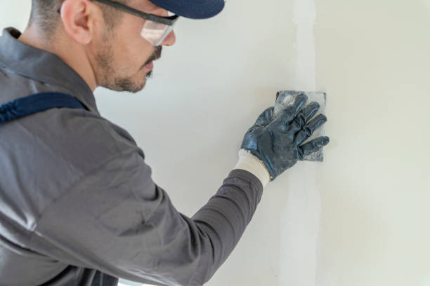 Best Comprehensive Air Testing for Mold Contaminants  in Magnolia, NC
