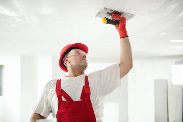 Best Forensic Mold Investigation  in Magnolia, NC