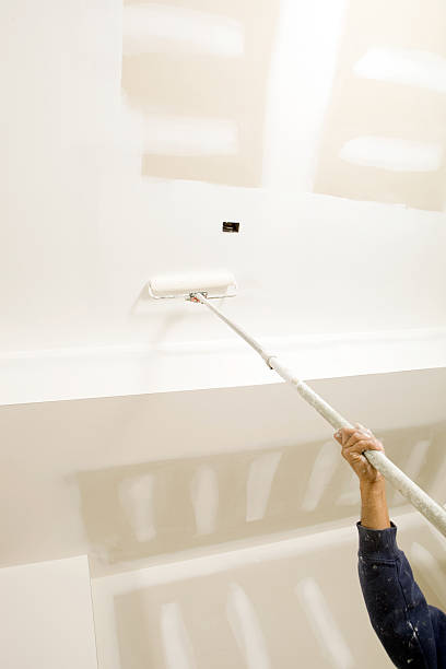 Best Airborne Mold Testing  in Magnolia, NC