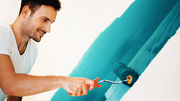 Best Basement Mold Removal  in Magnolia, NC