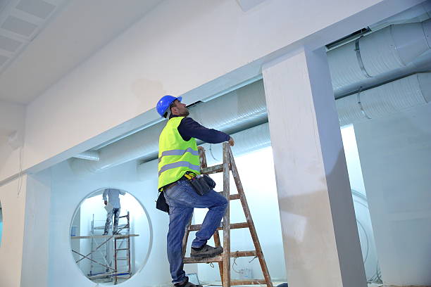 Best Crawl Space Mold Remediation  in Magnolia, NC