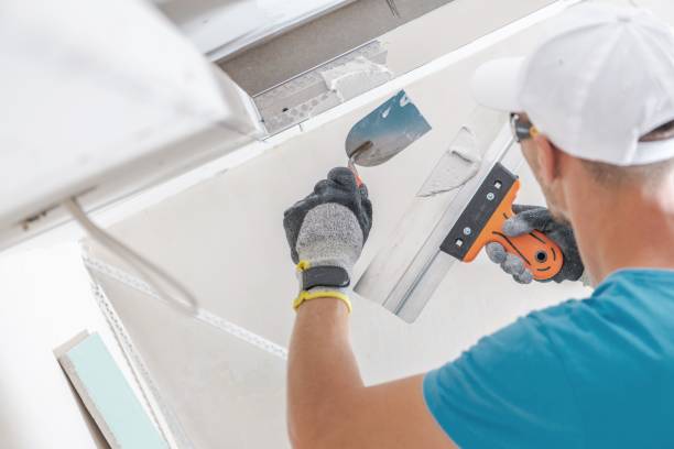  Magnolia, NC Mold Removal Pros
